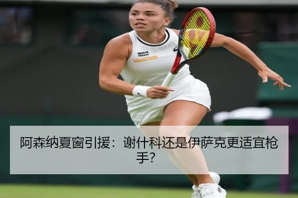 阿森纳夏窗引援：谢什科还是伊萨克更适宜枪手？